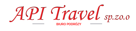 logo api travel