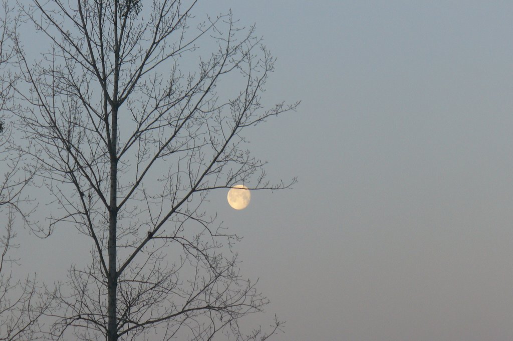 fotografia magdaleny świąder